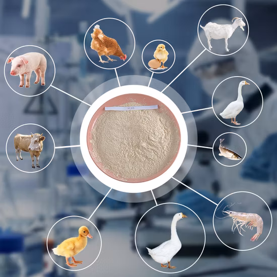 Venda quente em alta